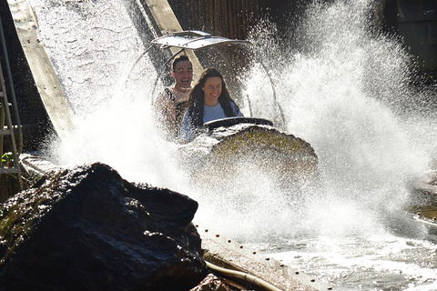 Theme Park Transfer From Brisbane - Kempsey Accommodation 1