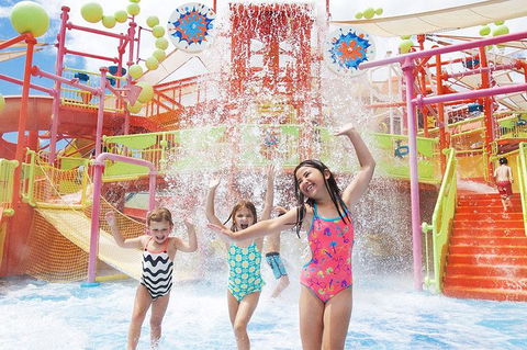 Theme Park Transfer From Brisbane - Kempsey Accommodation 3