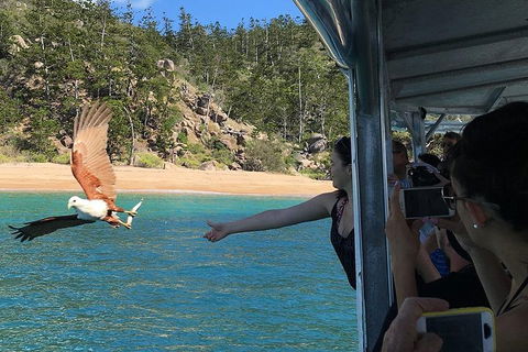Aquascene Magnetic Island Discovery Tour - Kempsey Accommodation 2