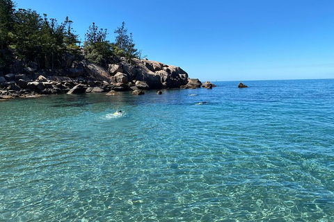 Aquascene Magnetic Island Discovery Tour - Kempsey Accommodation 5