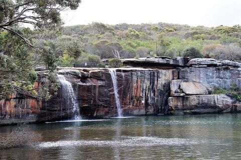 Royal National Park Tour - Kempsey Accommodation 1