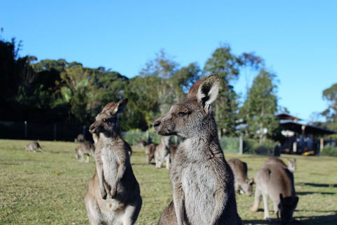 Royal National Park Tour - Kempsey Accommodation 2
