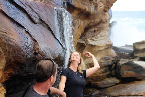Royal National Park Tour - Kempsey Accommodation 4