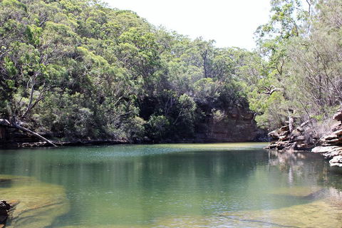 Royal National Park Tour - Kempsey Accommodation 5