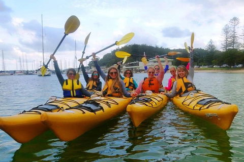 Half-Day Sydney Middle Harbour Guided Kayaking Eco Tour - Kempsey Accommodation 2