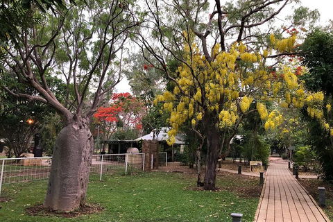 Gorgeous Gorges Tour - Windjana & Bell Gorge, Mt Hart, Cape Leveque - Kempsey Accommodation 3