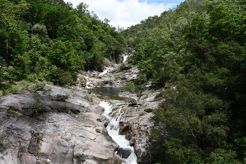 Behana Canyon Rainforest And Waterfall Experience - Kempsey Accommodation 1