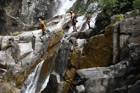 Behana Canyon Rainforest And Waterfall Experience - Kempsey Accommodation 2