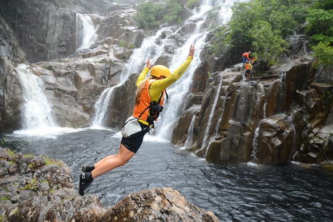 Behana Canyon Rainforest And Waterfall Experience - Kempsey Accommodation 3