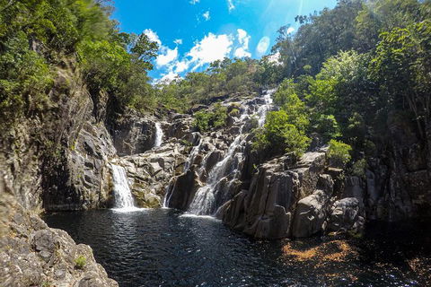 Behana Canyon Rainforest And Waterfall Experience - Kempsey Accommodation 5