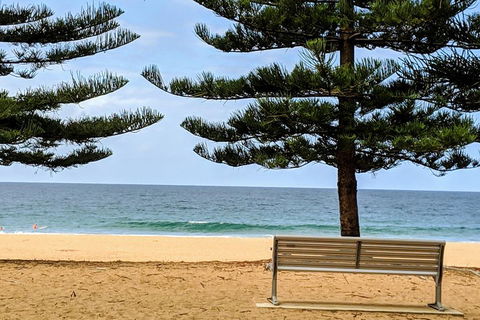 Manly & Sydney's Northern Beaches With 'Personalised Sydney Tours' - Kempsey Accommodation 0