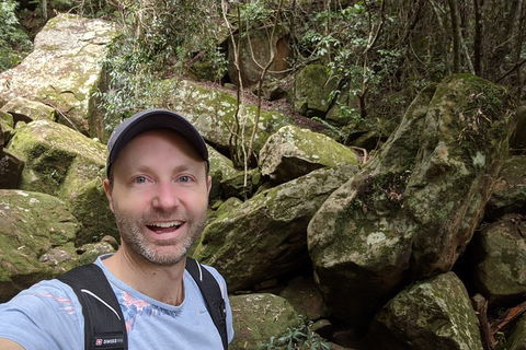 Australian Wildlife & Waterfalls Private Tour With 'Personalised Sydney Tours' - Kempsey Accommodation 4