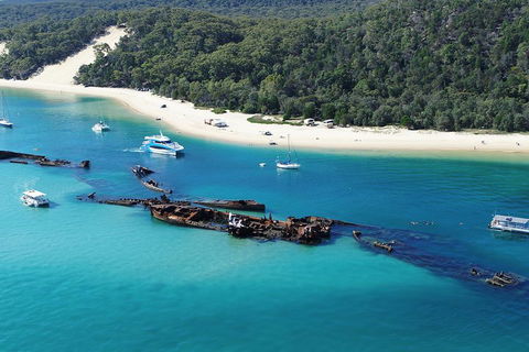 All Inclusive Dolphin And Tangalooma Wrecks Cruise - Kempsey Accommodation 4