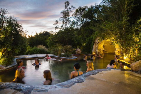 Peninsula Hot Springs & Wine Tasting - Day Tour - Kempsey Accommodation 3