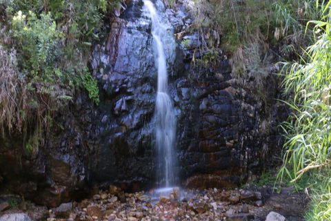 Self-Guided Waterfall Gully To Mount Lofty Hike From Adelaide - Kempsey Accommodation 5