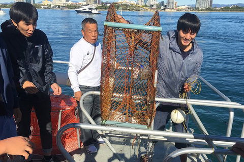 Crab Trip From Gold Coast - Kempsey Accommodation 1