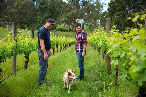 LGBT+ Friendly Full Day Yarra Valley & Dandenong Ranges Private Tour - Kempsey Accommodation 4