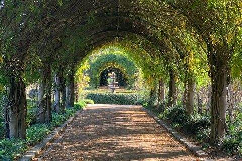 LGBT+ Friendly Full Day Yarra Valley & Dandenong Ranges Private Tour - Kempsey Accommodation 5