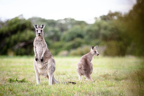 LGBT+ Friendly 3 Day Tour The Grampians, Daylesford & Ballarat - Kempsey Accommodation 2