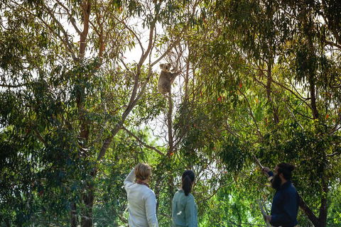 LGBT+ Friendly 3 Day Tour The Grampians, Daylesford & Ballarat - Kempsey Accommodation 4