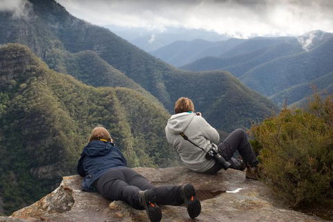 Inside The Greater Blue Mountains World Heritage - A Private Wildlife Safari Overnight - Kempsey Accommodation 0