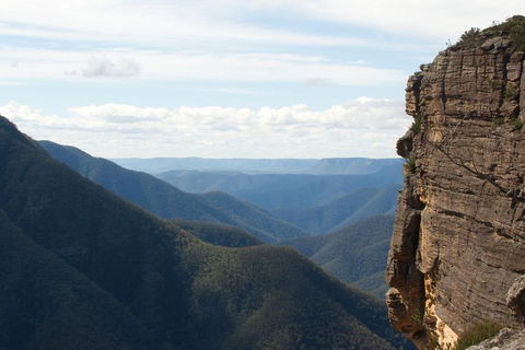 Inside The Greater Blue Mountains World Heritage - A Private Wildlife Safari Overnight - Kempsey Accommodation 4