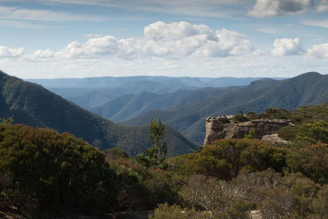 Inside The Greater Blue Mountains World Heritage - A Private Wildlife Safari Overnight - Kempsey Accommodation 5