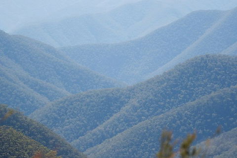 From The Mountains To The Bay - 4 Day Rediscovery Private Tour - Kempsey Accommodation 1