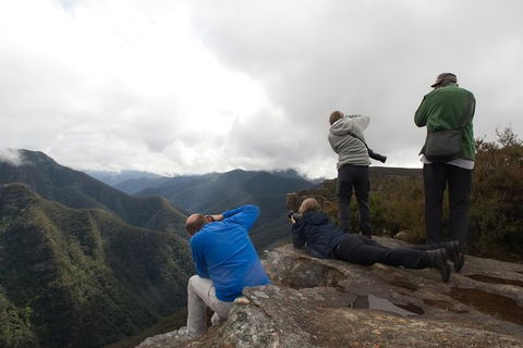 From The Mountains To The Bay - 4 Day Rediscovery Private Tour - Kempsey Accommodation 4
