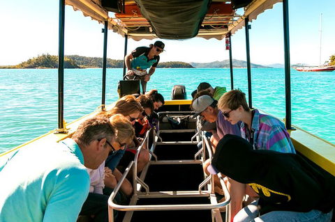 Airlie Beach Glass Bottom Boat Tour - Kempsey Accommodation 1
