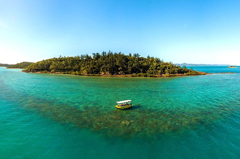 Airlie Beach Glass Bottom Boat Tour - Kempsey Accommodation 3
