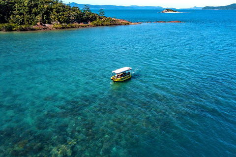 Airlie Beach Glass Bottom Boat Tour - Kempsey Accommodation 4