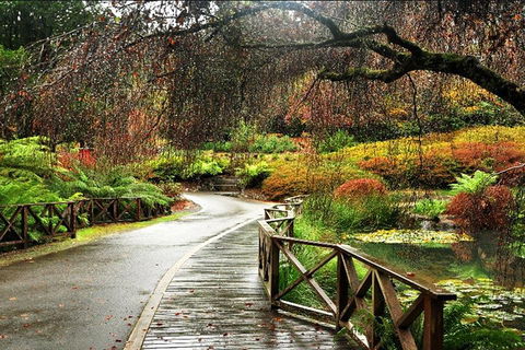 Discover Tour: Dandenong Ranges & William Ricketts Sanctuary - Kempsey Accommodation 3