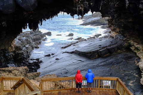 Full-Day Kangaroo Island Safari From Penneshaw - Kempsey Accommodation 1