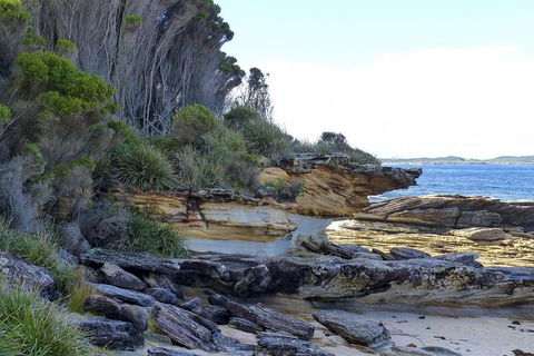 Day Trip To Cronulla & The Royal National Park - Kempsey Accommodation 4