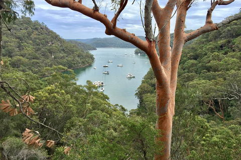 Shore Excursion: Sydney's Northern Beaches & Ku-ring-gai National Park Bus Tour - Kempsey Accommodation 1