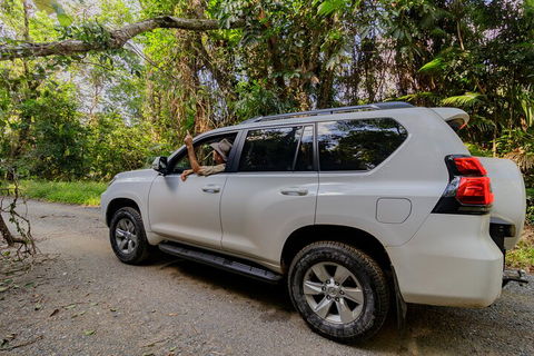 Full Day Cooktown Private Tour - Kempsey Accommodation 3