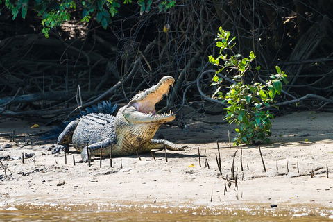 Full Day Cooktown Private Tour - Kempsey Accommodation 4