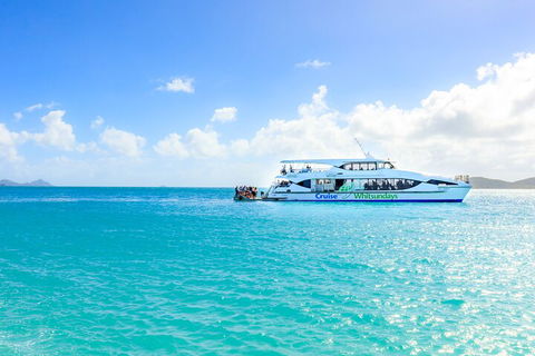 Whitehaven Beach And Daydream Island Cruise - Kempsey Accommodation 2