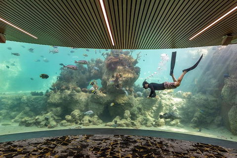 Whitehaven Beach And Daydream Island Cruise - Kempsey Accommodation 4