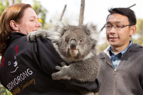 Bonorong Wildlife Park And Richmond Afternoon Tour From Hobart - Kempsey Accommodation 0