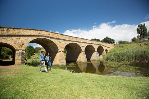 Bonorong Wildlife Park And Richmond Afternoon Tour From Hobart - Kempsey Accommodation 2