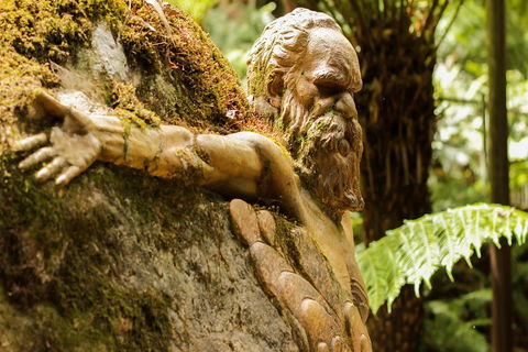 Dandenong Ranges Private Tour Including William Ricketts Sanctuary - Kempsey Accommodation 3