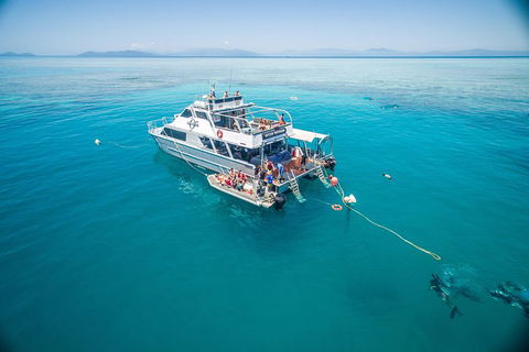 Ocean Freedom Great Barrier Reef Personal Luxury Snorkel & Dive Cruise, Cairns - Kempsey Accommodation 0