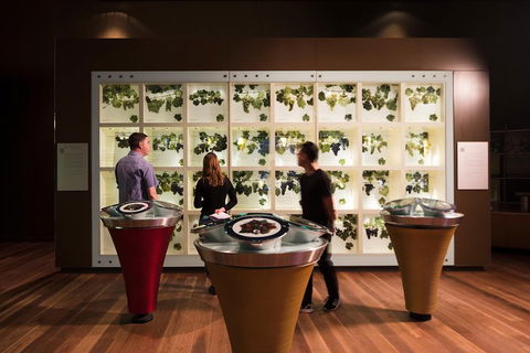 Australian Wine Discovery Tour With Tastings - Kempsey Accommodation 4