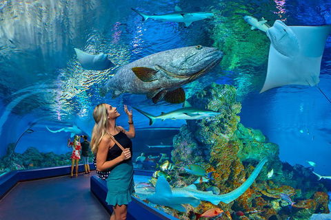 Cairns Aquarium Admission Ticket - Kempsey Accommodation 3