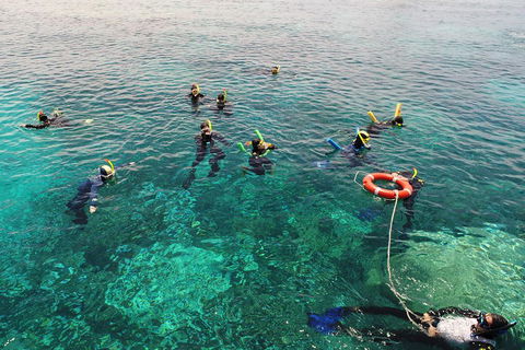 Seastar Luxury Outer Great Barrier Reef Island And Reef Tour From Cairns - Kempsey Accommodation 2