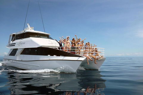 Seastar Luxury Outer Great Barrier Reef Island And Reef Tour From Cairns - Kempsey Accommodation 4