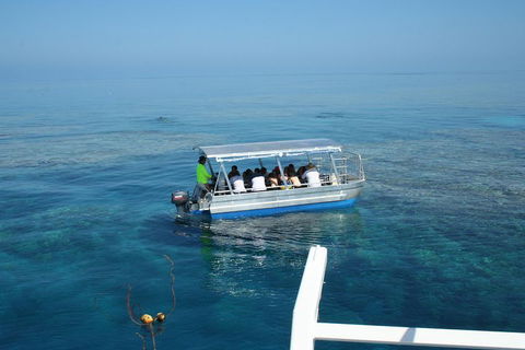 Seastar Luxury Outer Great Barrier Reef Island And Reef Tour From Cairns - Kempsey Accommodation 5