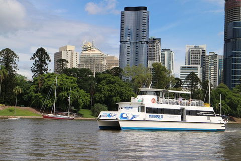 Lone Pine Koala Sanctuary Admission With Brisbane River Cruise - Kempsey Accommodation 2